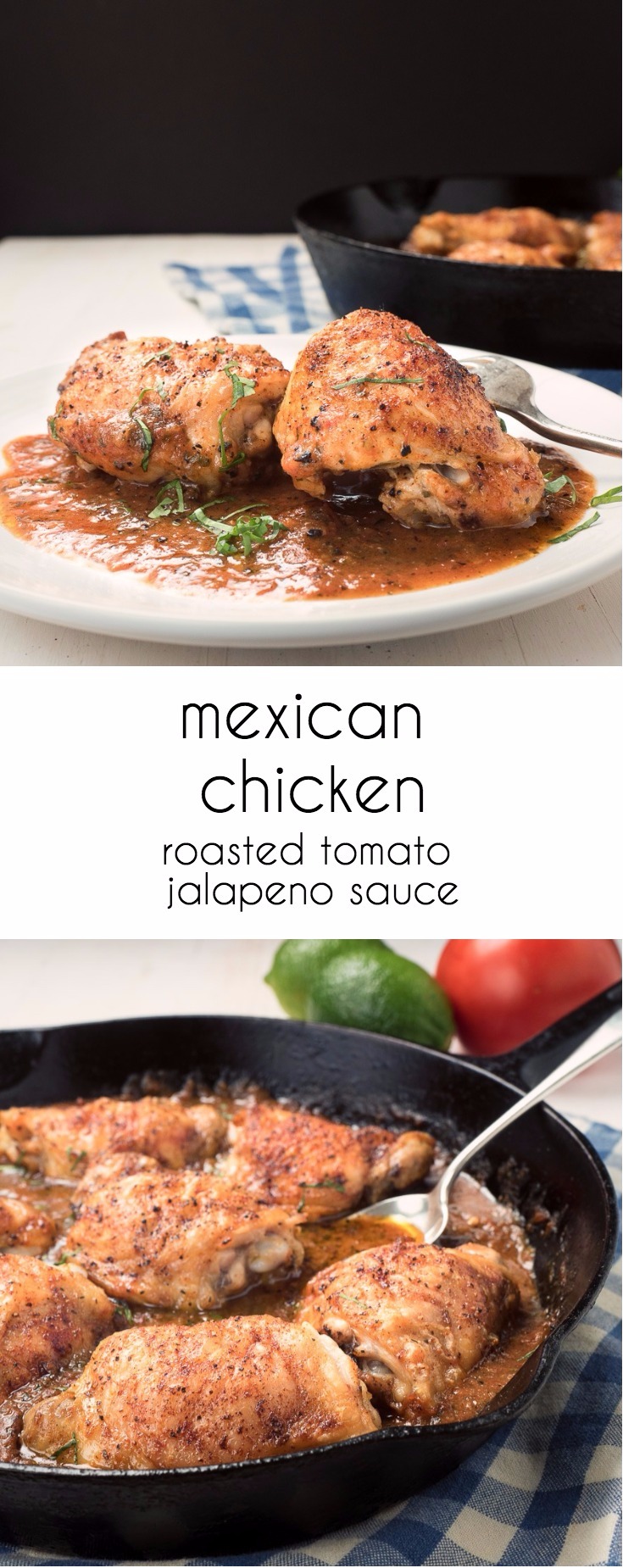 Mexican chicken with roasted tomato salsa is Mexican - upscaled!