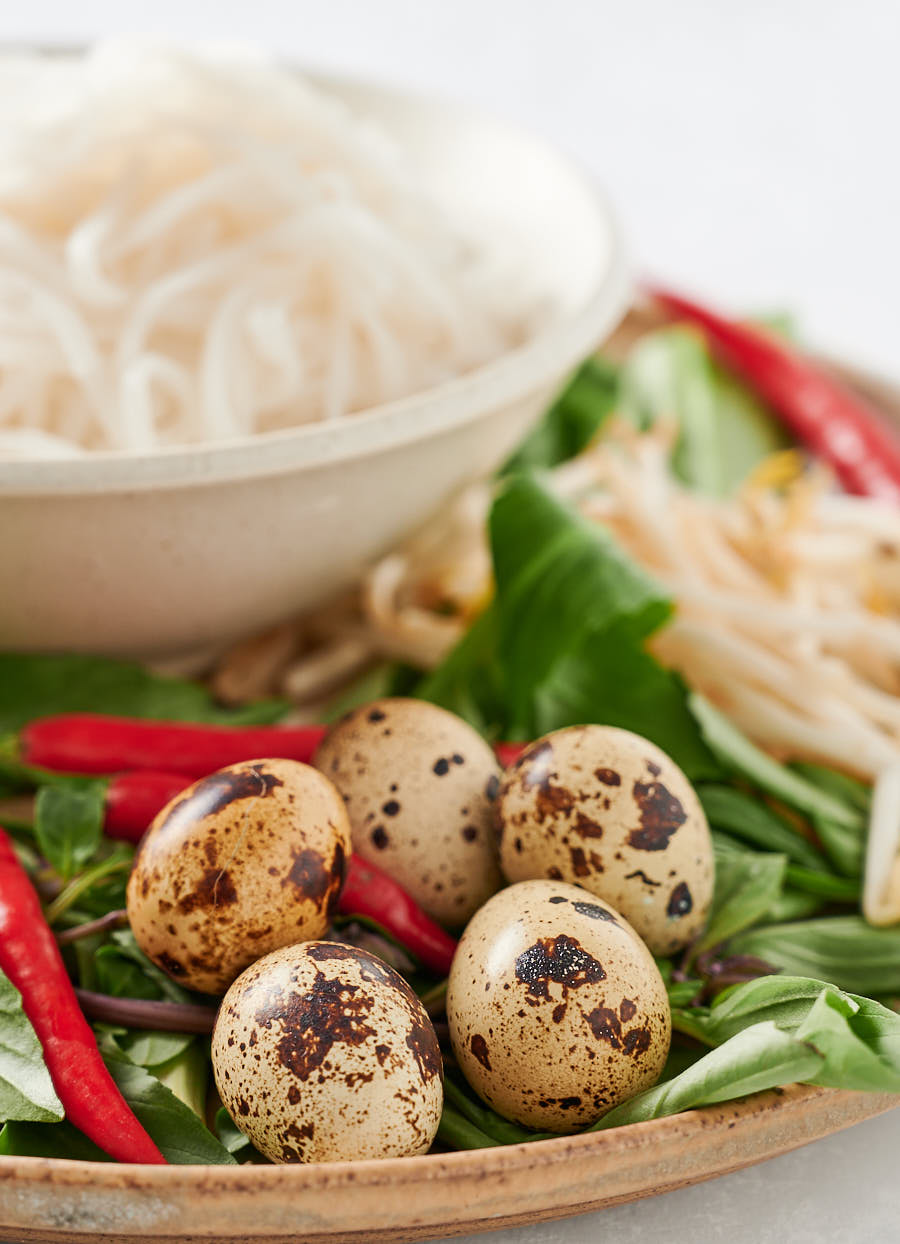 Mottled quail eggs in the shell surrounded by chilies, herbs and bean sprouts.