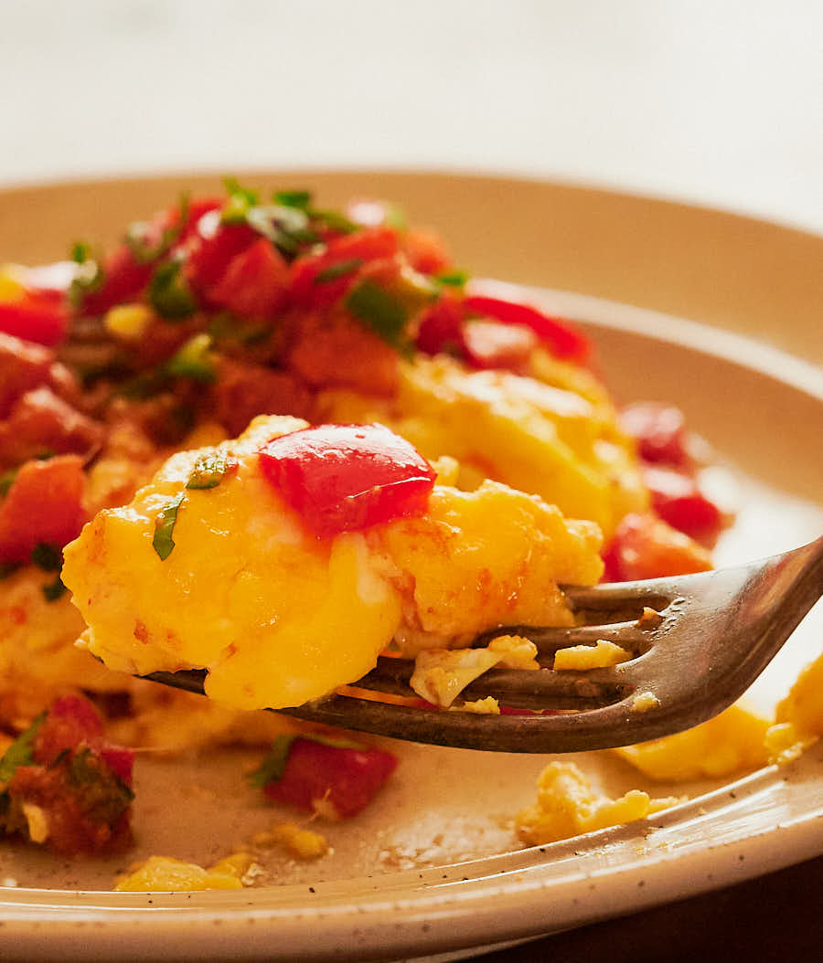 Egg and tomato masala on a fork - close up.