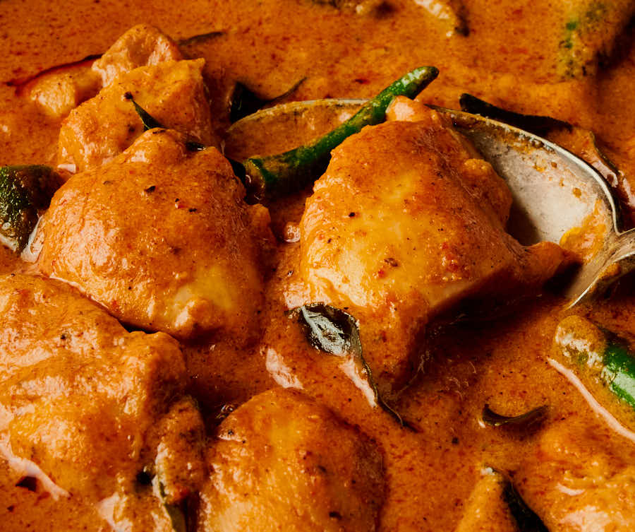 Spoonful of chicken curry